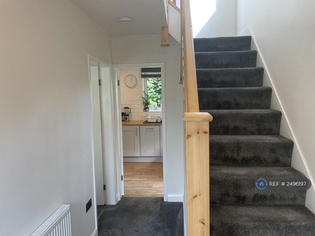 Downstairs Hallway