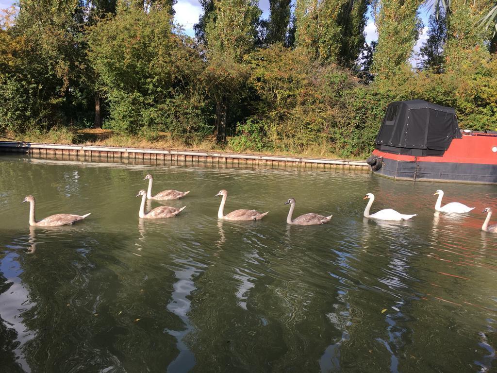 WhatsApp Image 2023-11-11 at 15.45.45.jpeg