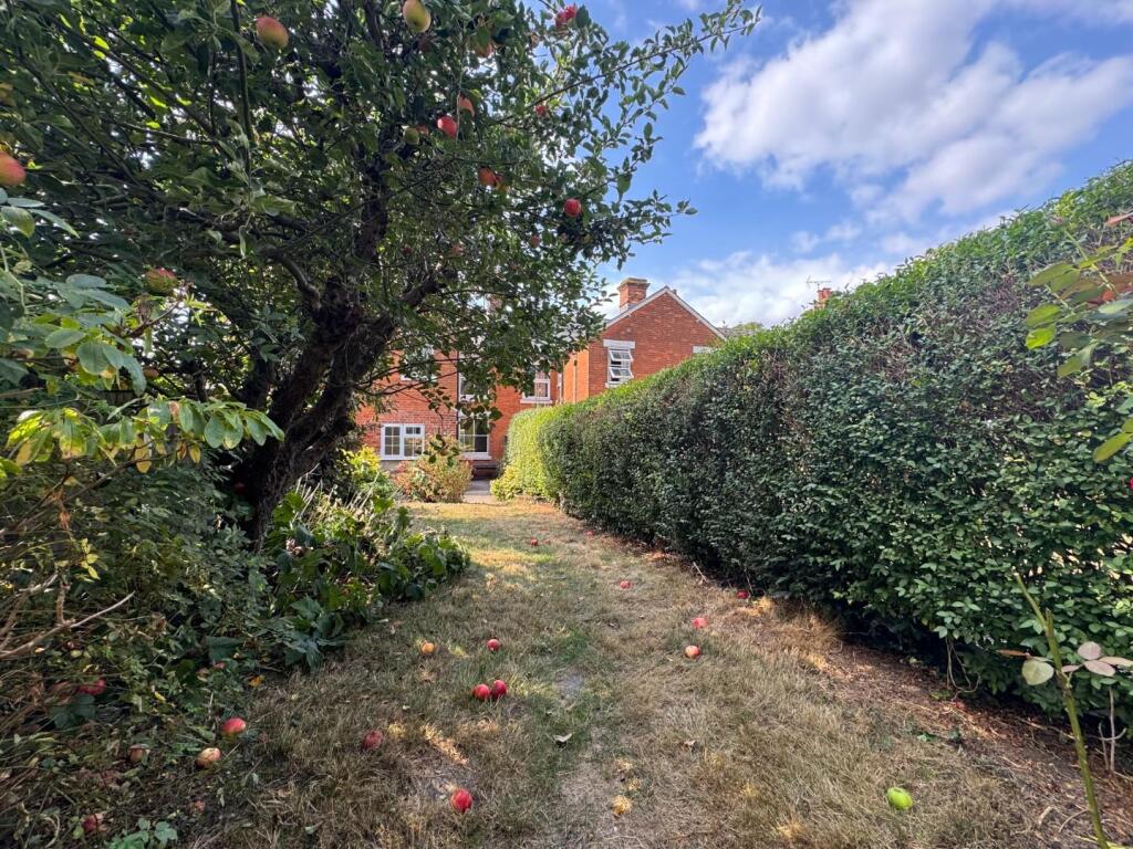 Garden1.jpeg