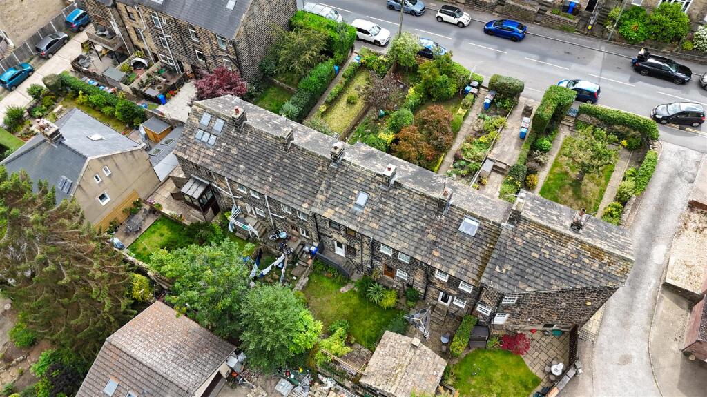 2025-08-21 11.41.46.jpg