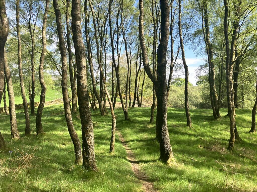 Woodland