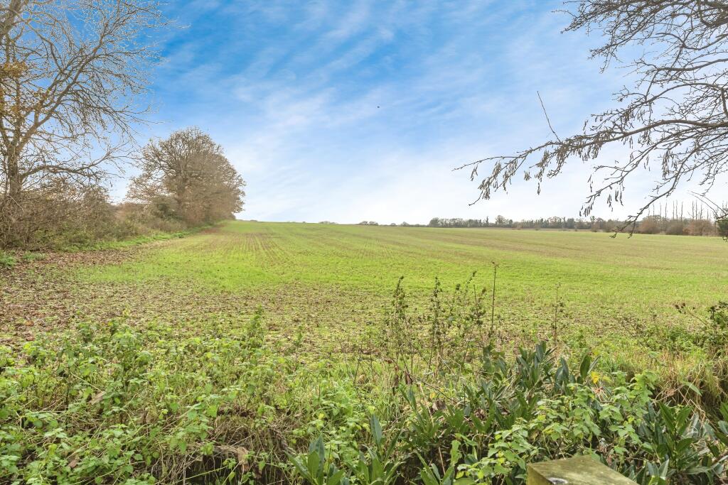 Field view from garden