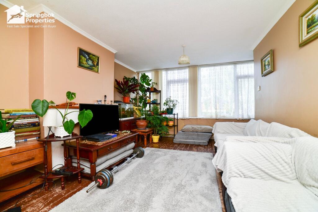 IMAGE 4
