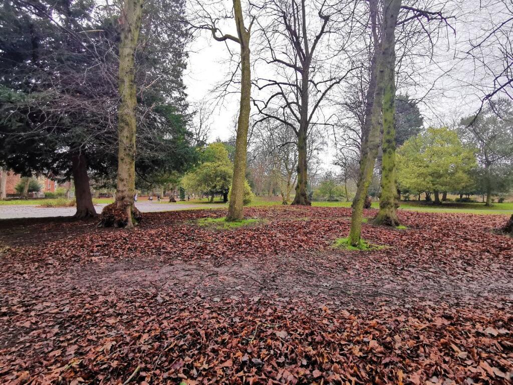 Alexandra Park
