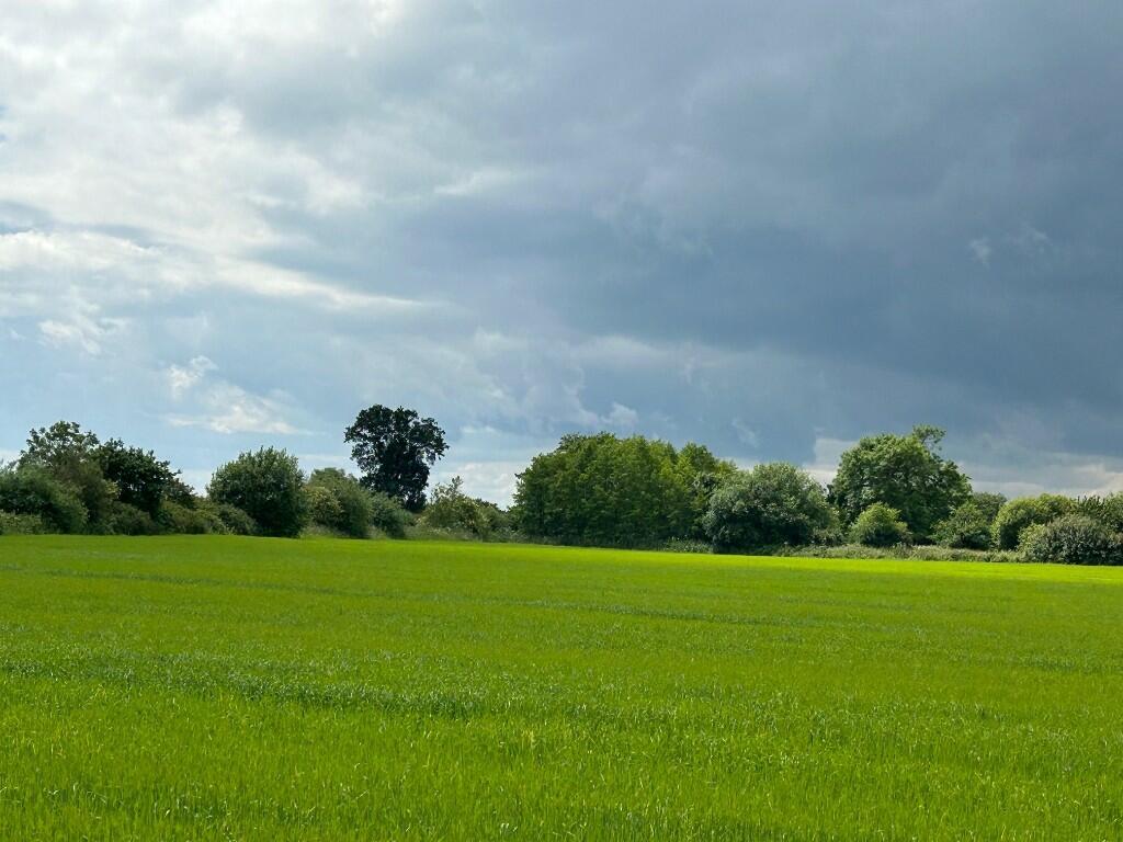 Land Three