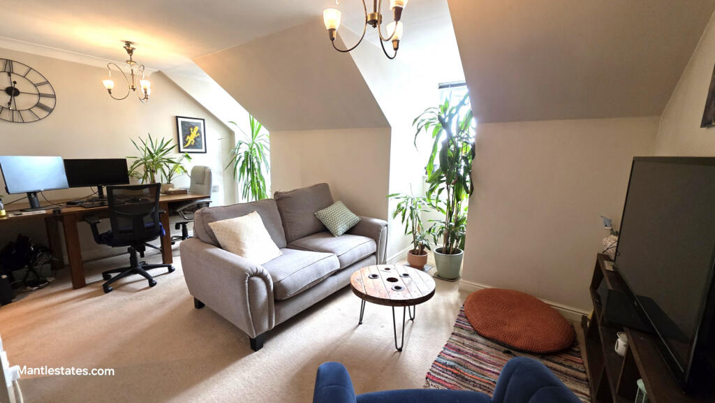 LOUNGE - DINING AREA