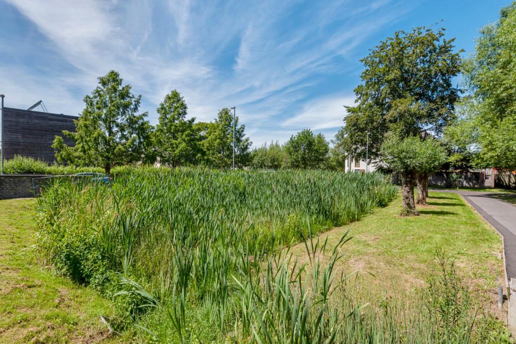 Communal Green