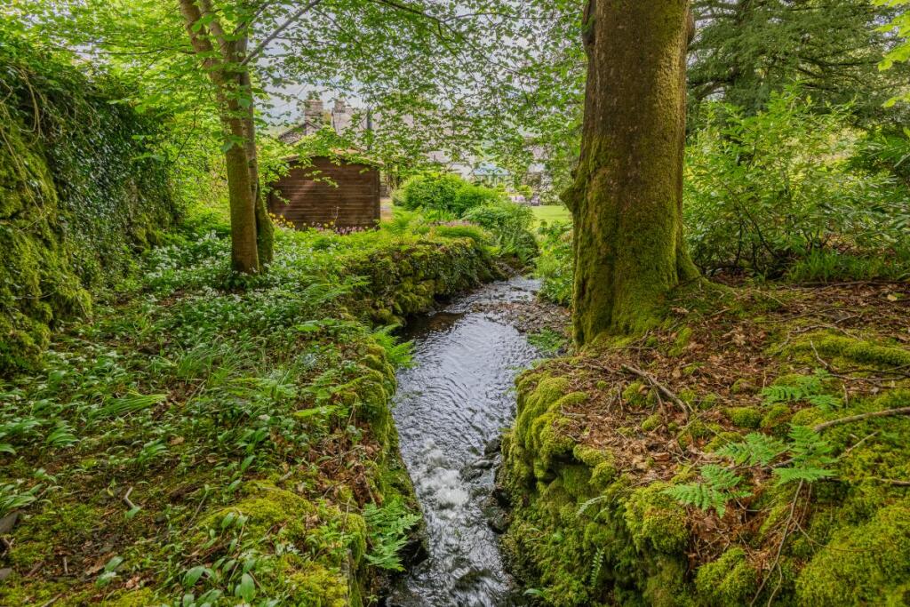 Water Feature