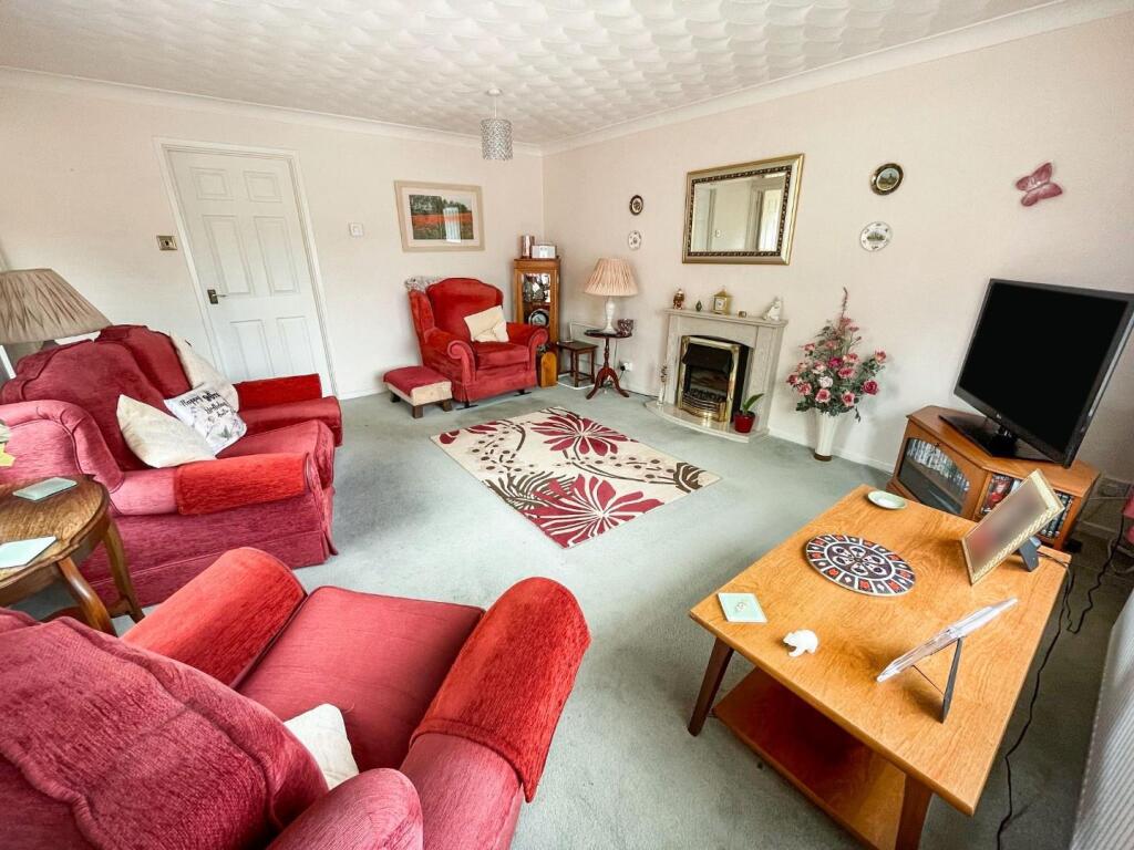 tlc_33e09695-52ee-4656-8474-15ea2ff5dc92_980d626.j