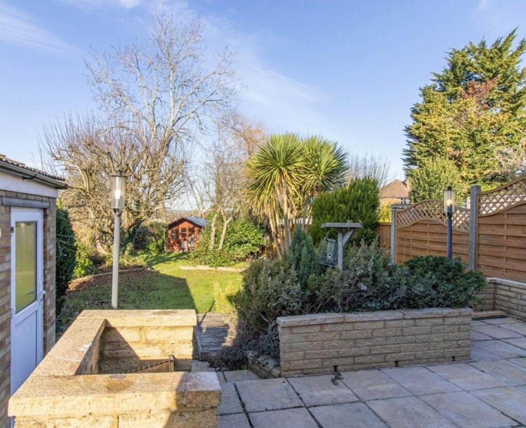 Garden 3.jpeg