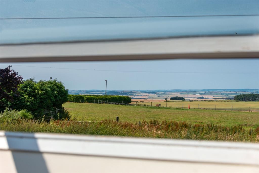 View From Window