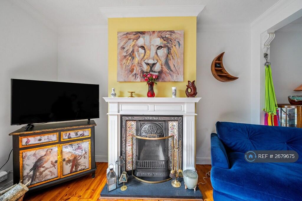 Working Fireplace 