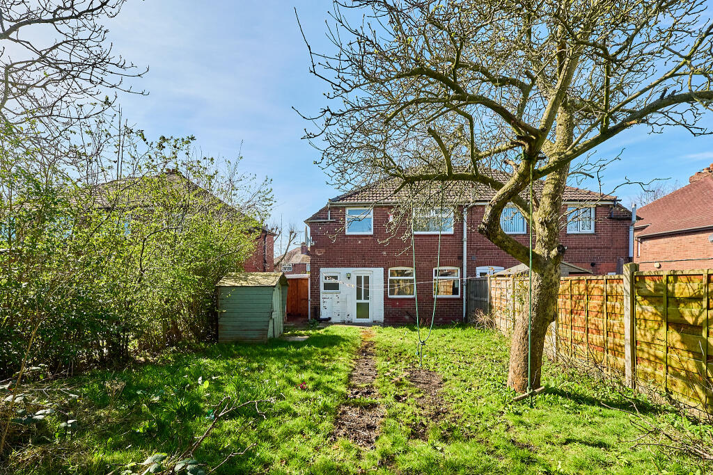 P1427826 T202503271806.jpg