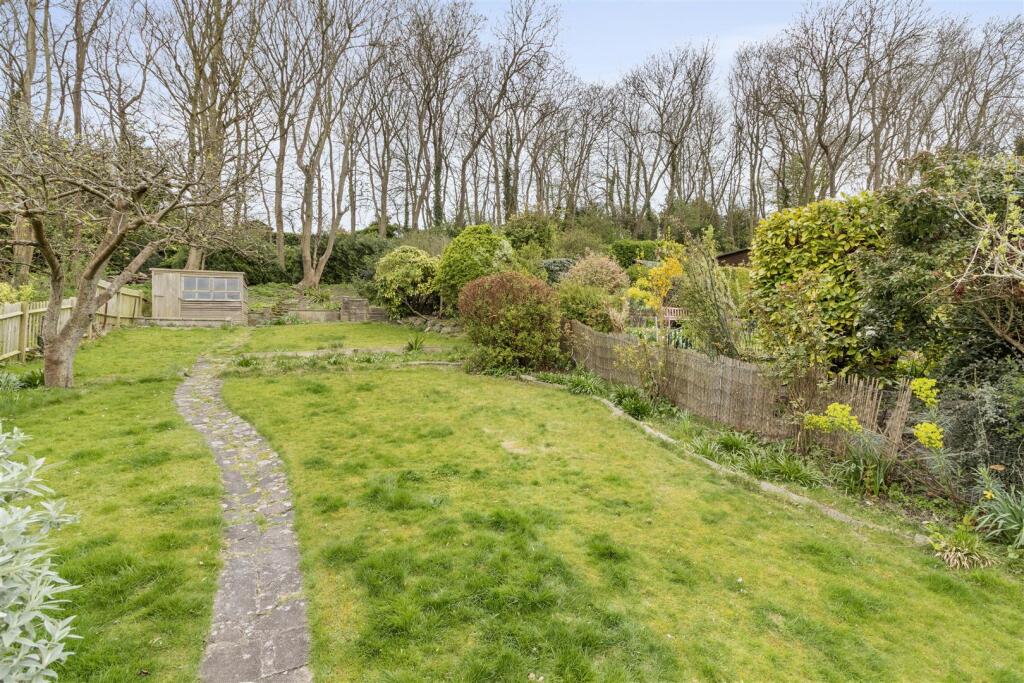 Lawn Area