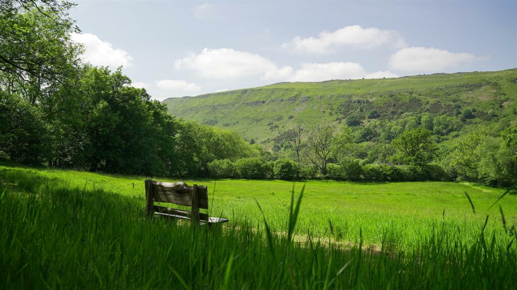 THE LAND