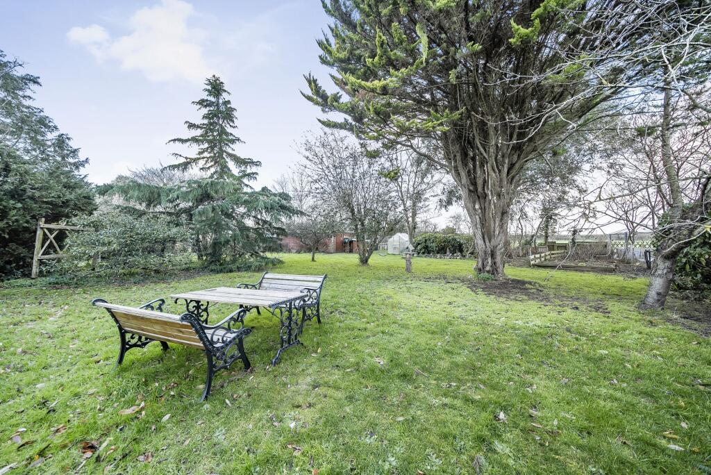 Garden (4)