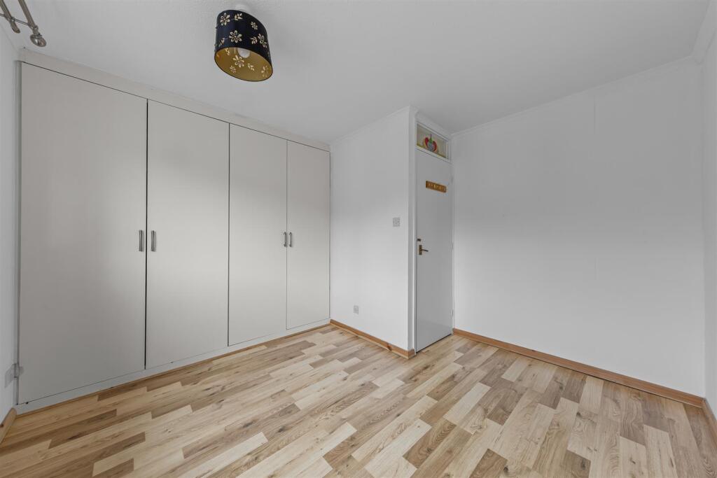 7MontaguDrWeb15.jpg