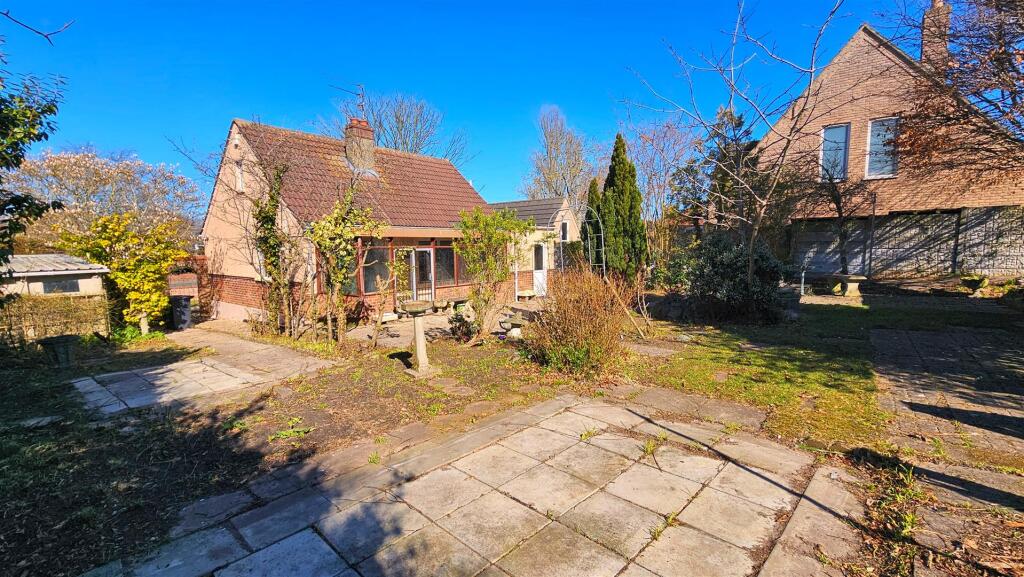 Back Garden