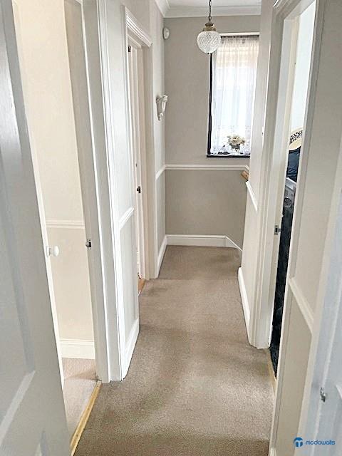 53CrownRoad_IG61NN (40).jpg