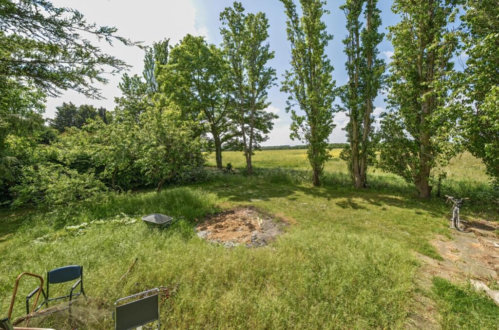 1296615-5-68272676ac58a-ARW