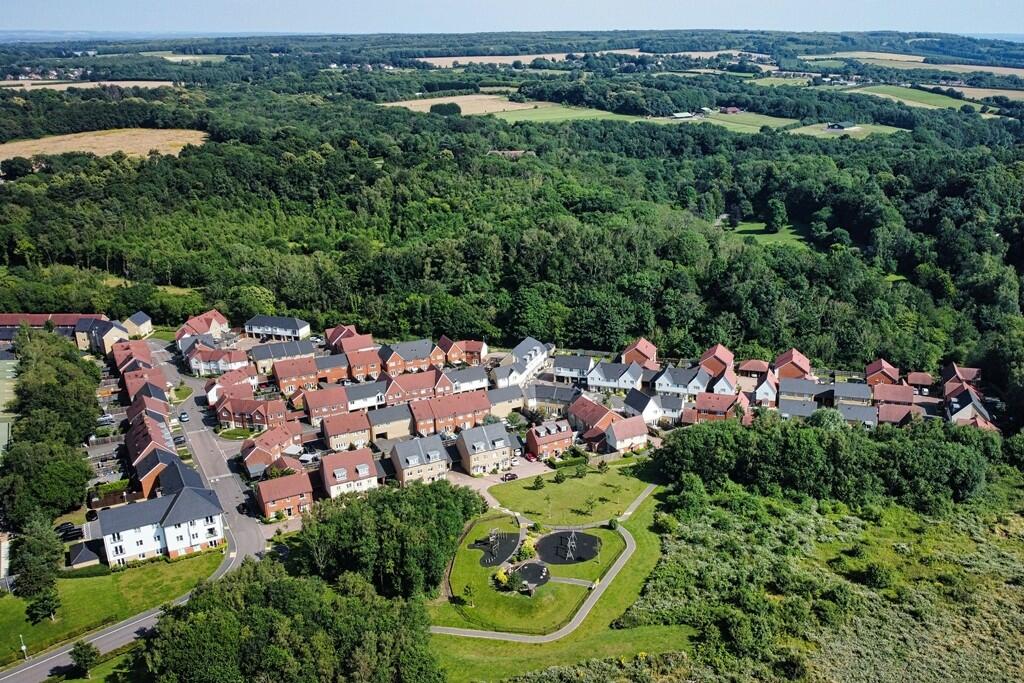 Aerial Shot