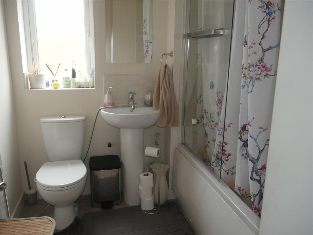 Picture 8