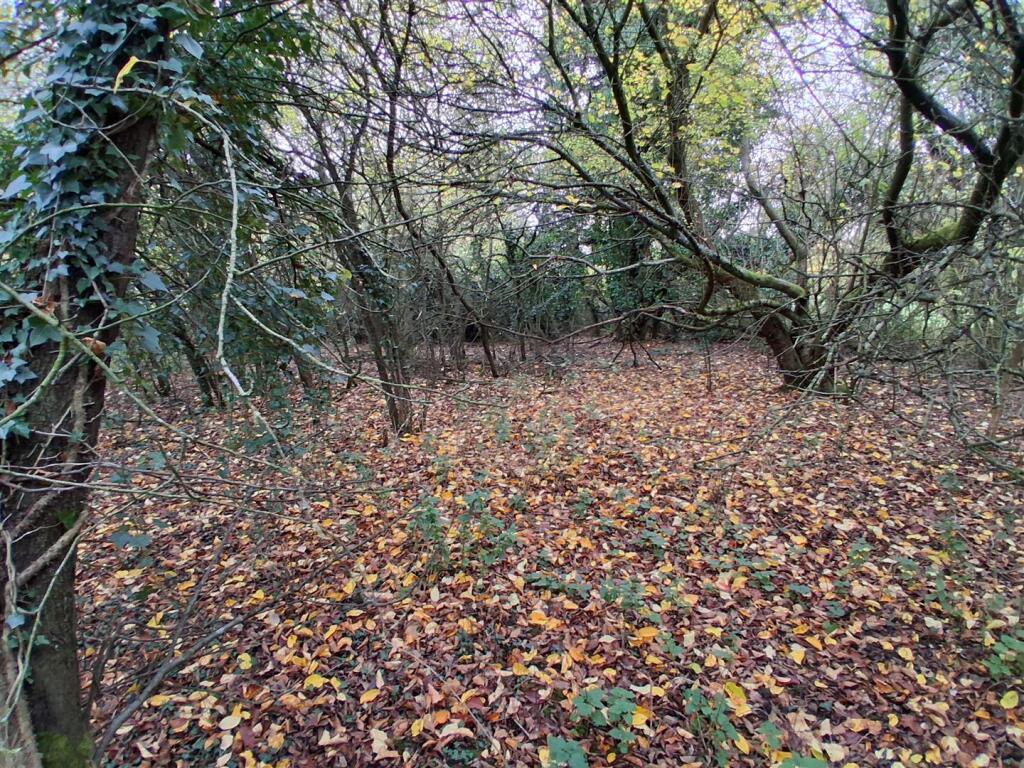 Land at Robinson End