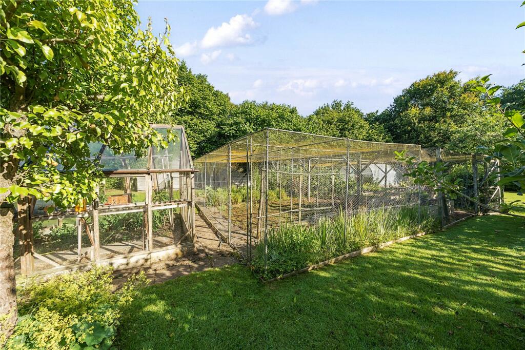Vegetable Garden
