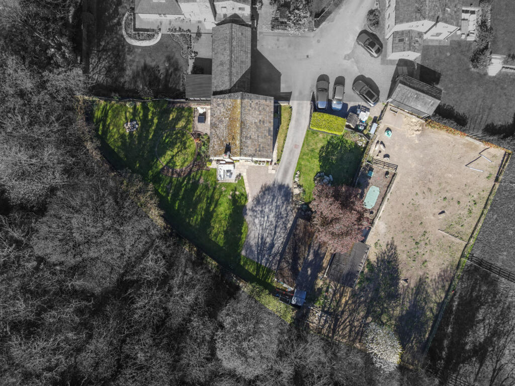 Aerial Shot