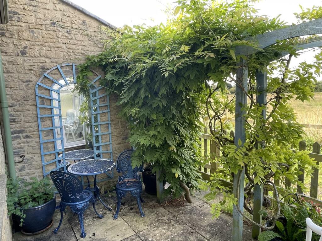 Garden.JPG