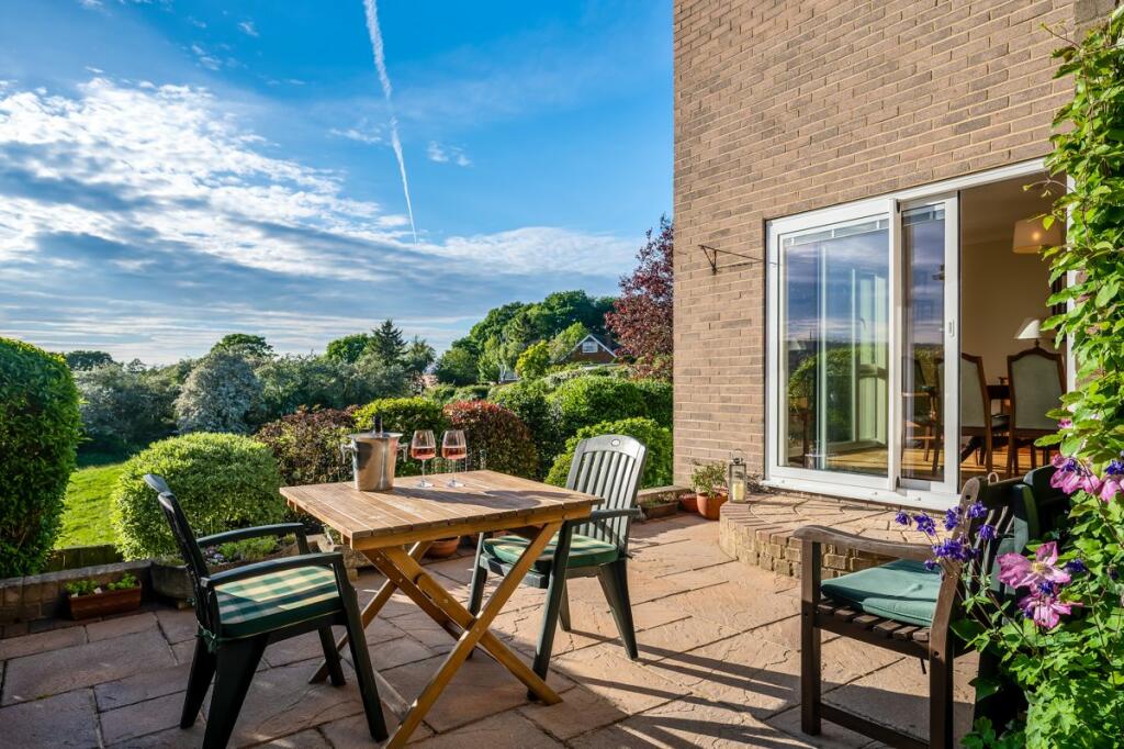 Back Garden 