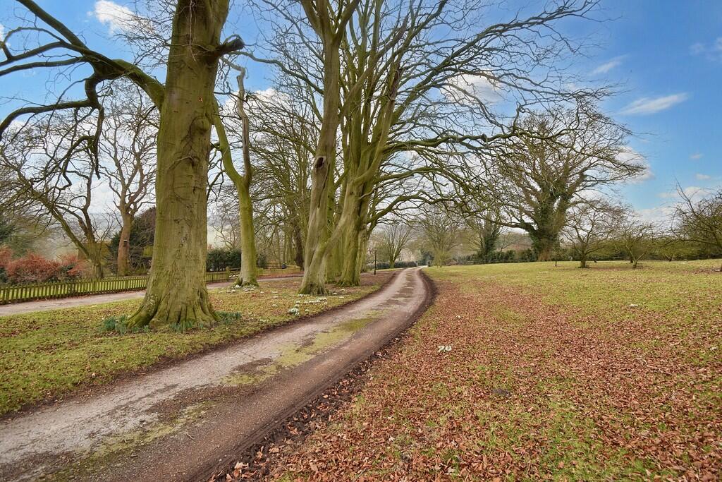 DSC_0011