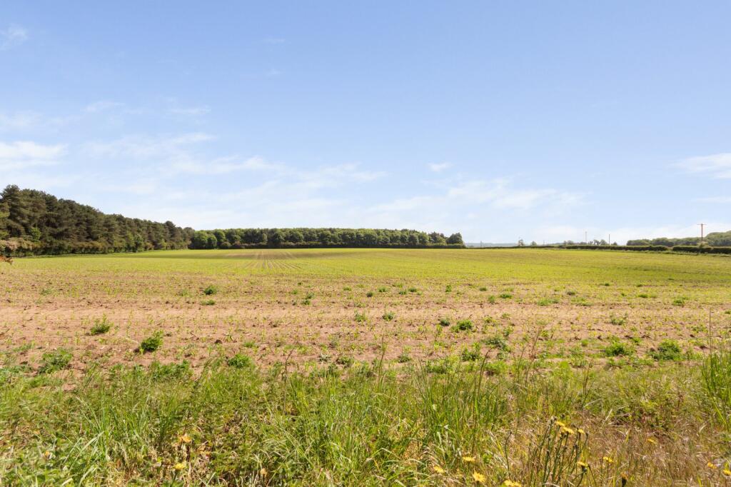 Open Field Views