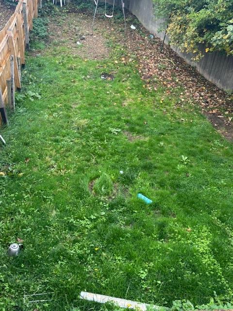 Garden.jpg