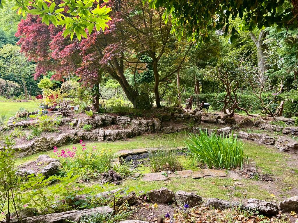 Pond Area