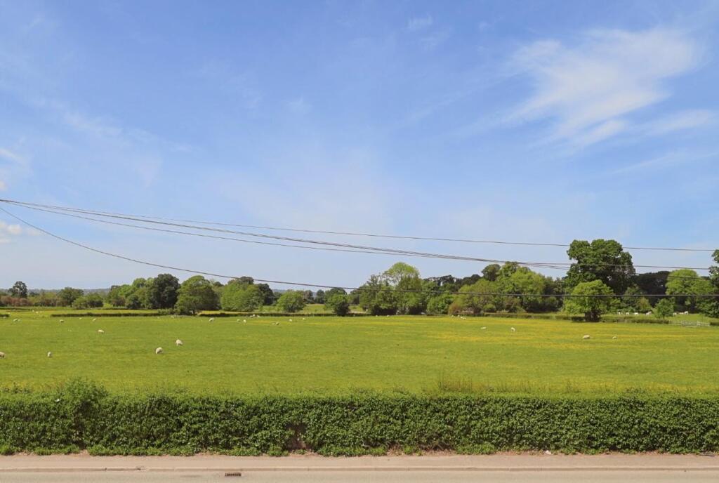 IMG_7451.JPG