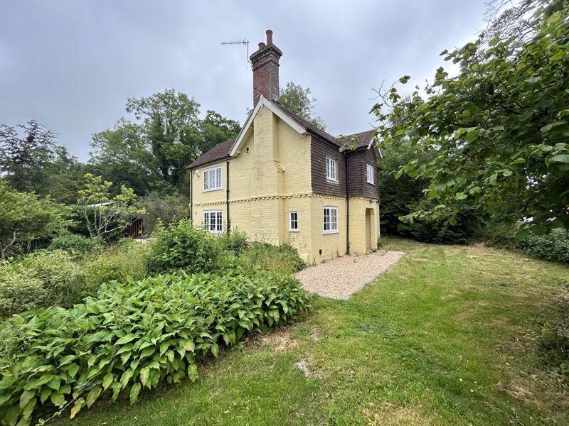 Rear aspect