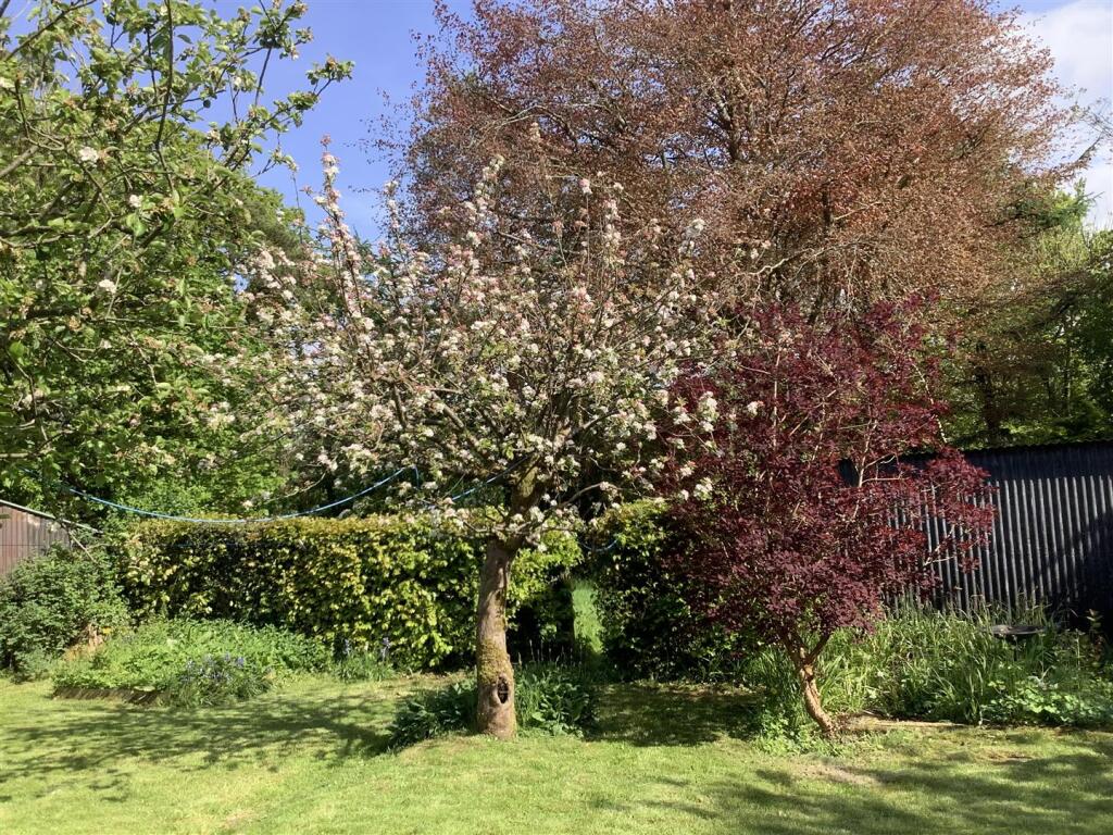 IMG_5579.jpeg