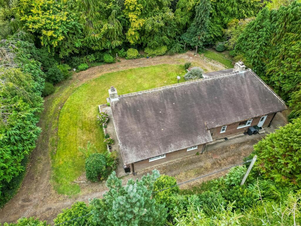DJI_0689.jpg