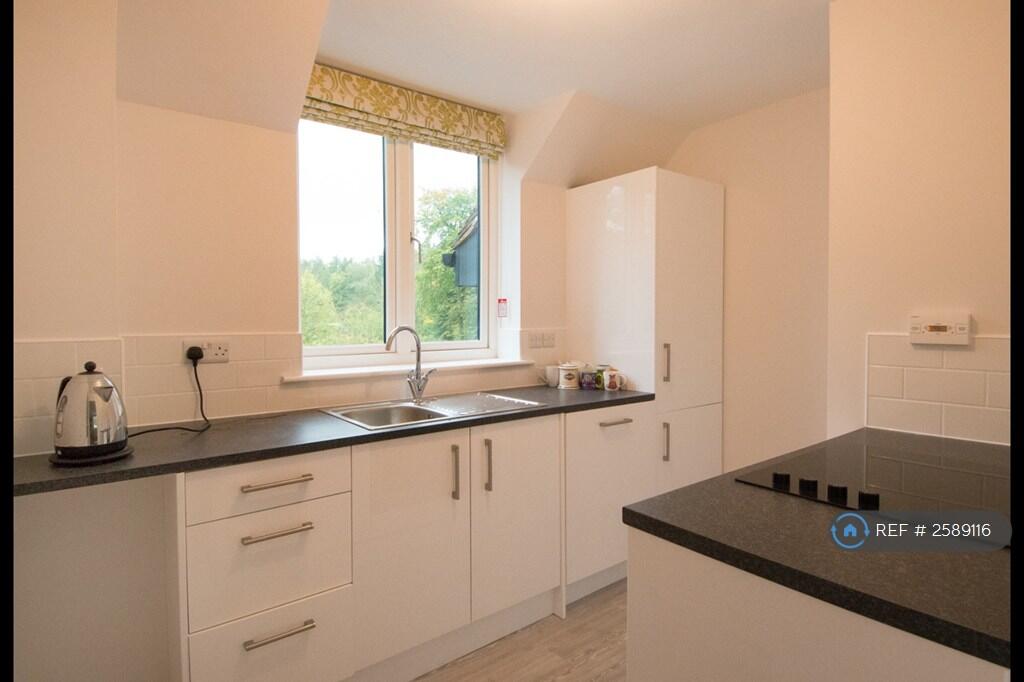Well Appointed  Kitchen