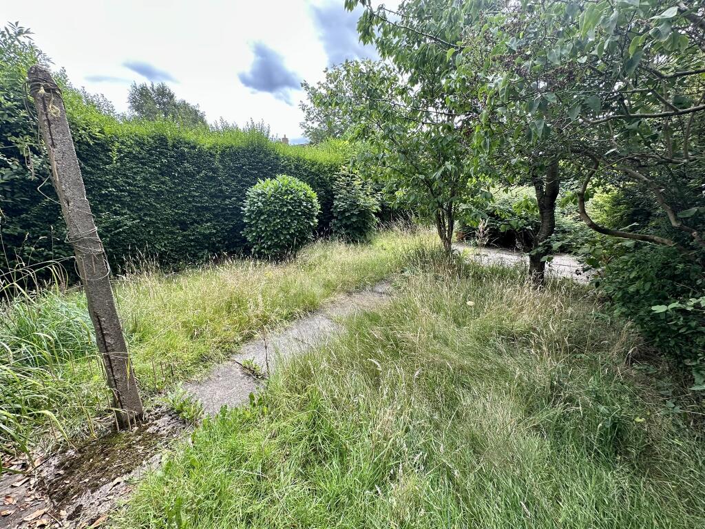 IMG 2992 T202507282242.jpeg