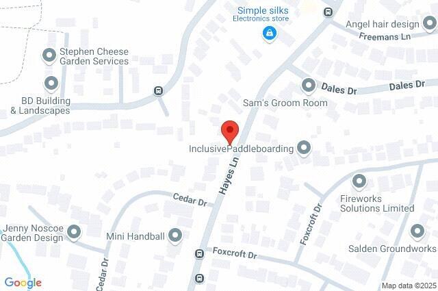 Google Maps Image