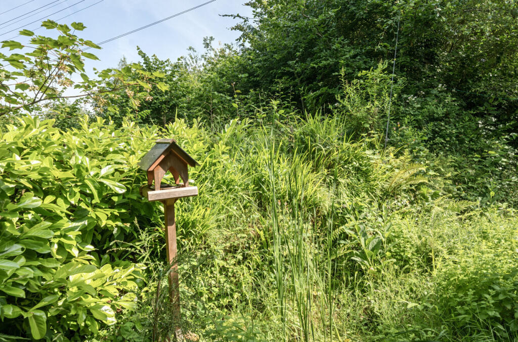 1309350-15-685148...