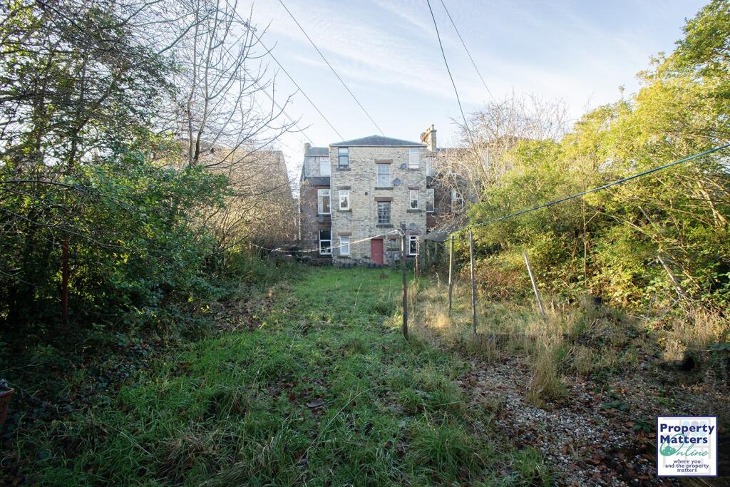 Back garden