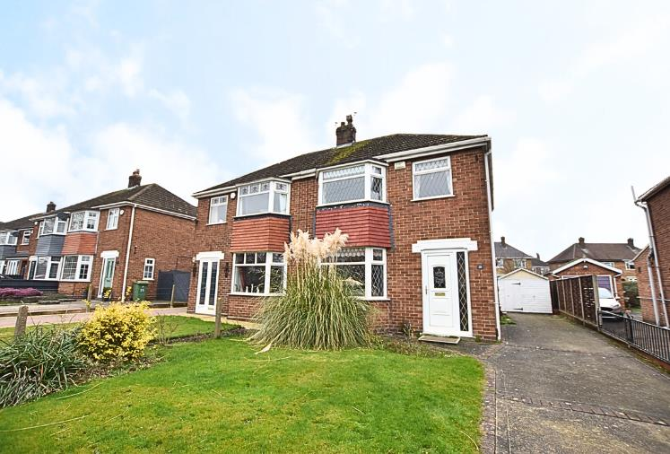 Untitled design - 2025-02-12T155339.952.png