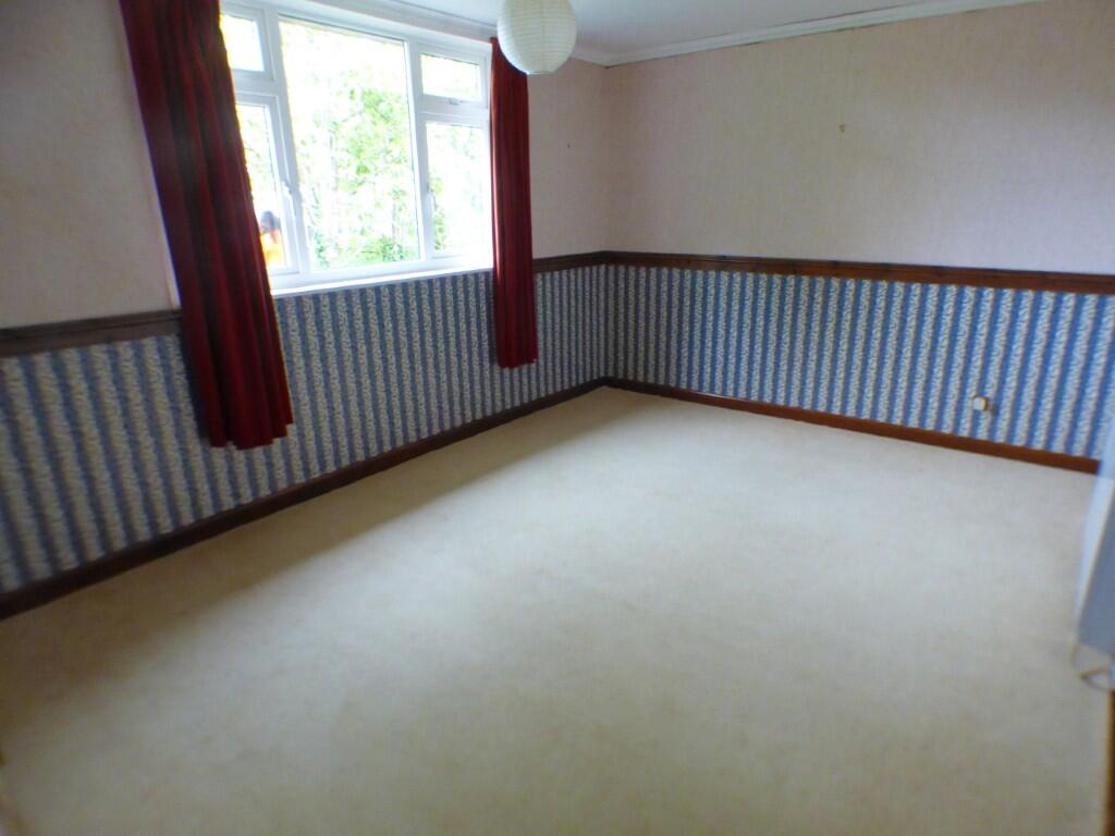 P1160978  Medium  T202503131252.jpg