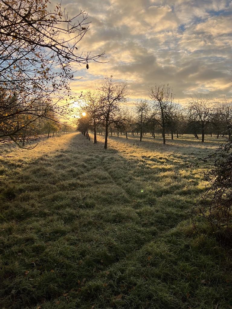 Surrounding Fields