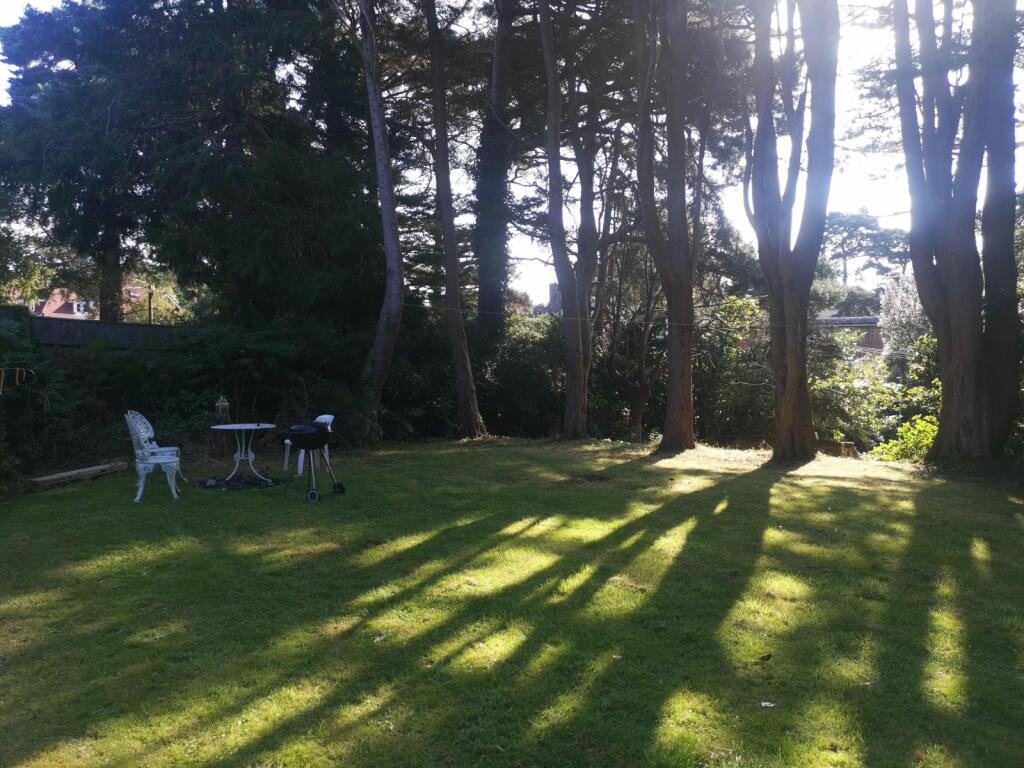 Garden 1