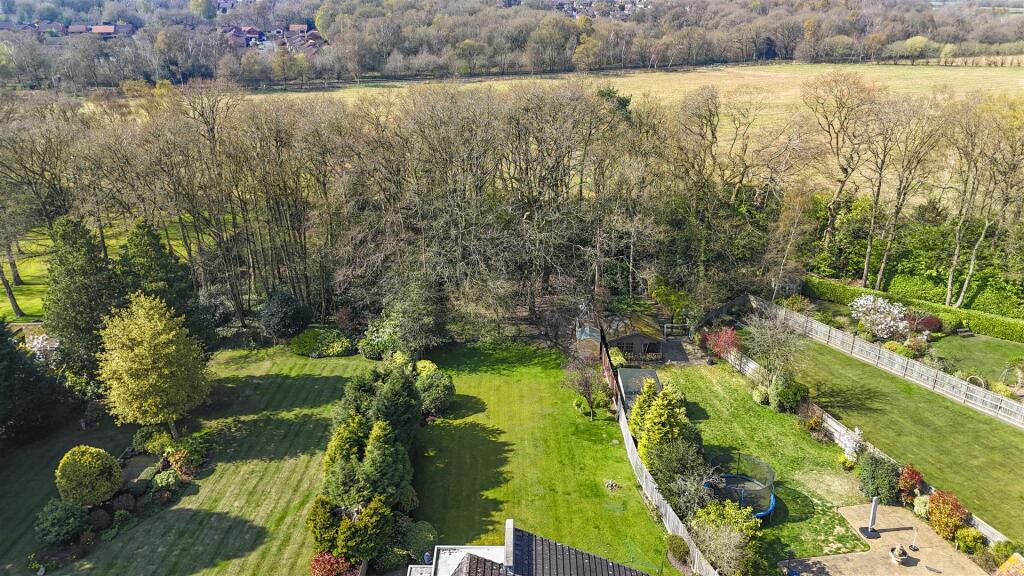 dji_fly_20250403_124012_0368_1743681875444_photo.j