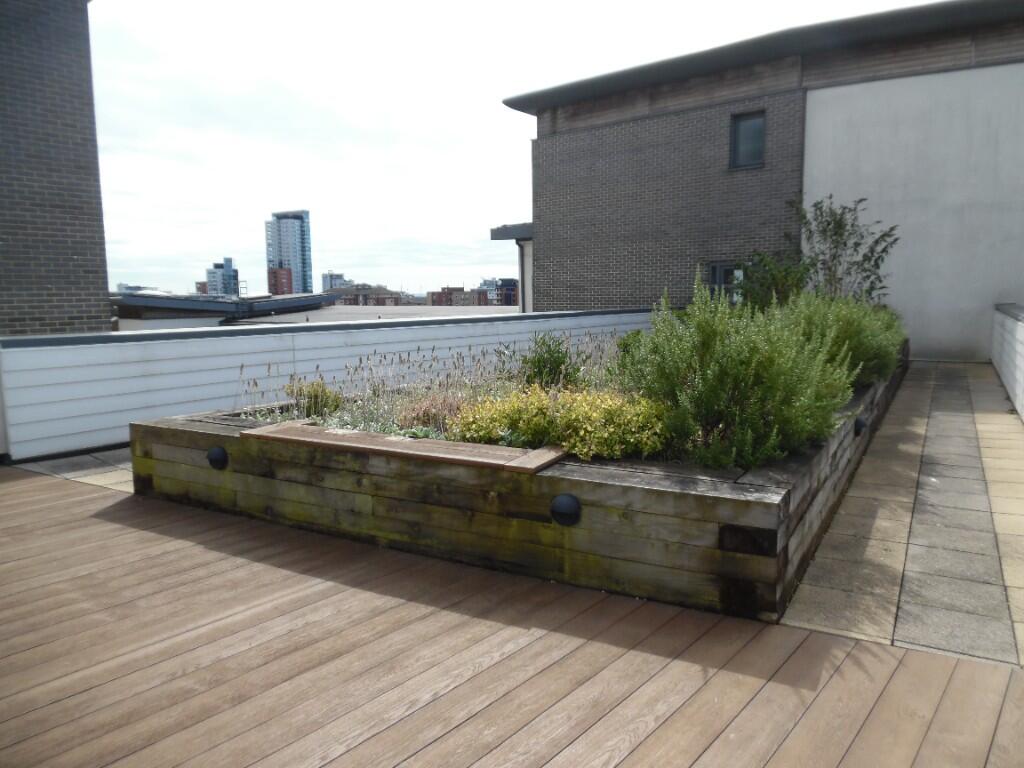 Communal Terrace